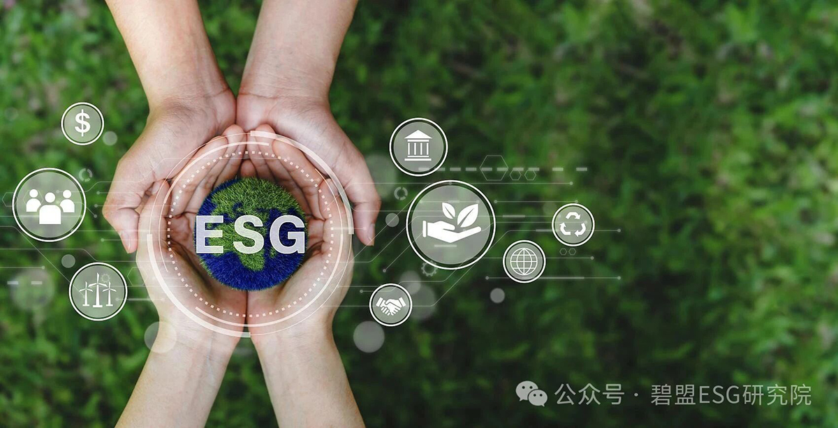 上海ESG咨询